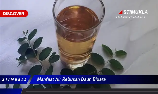 manfaat air rebusan daun bidara