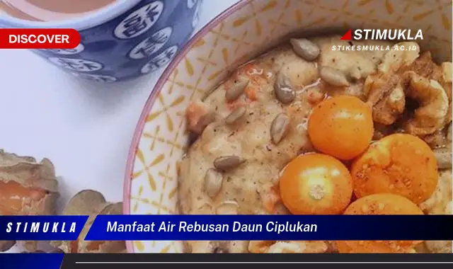 manfaat air rebusan daun ciplukan