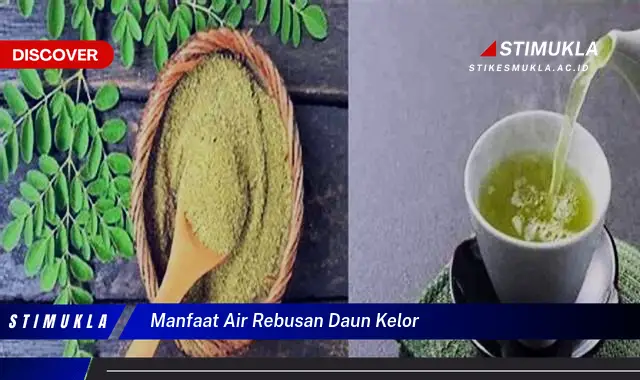 manfaat air rebusan daun kelor