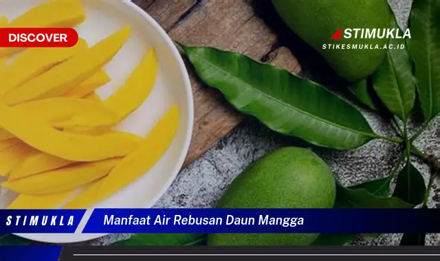 manfaat air rebusan daun mangga