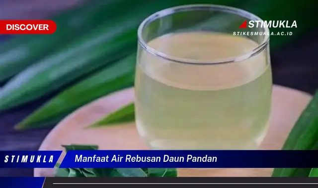 manfaat air rebusan daun pandan