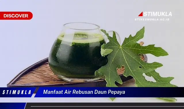 manfaat air rebusan daun pepaya