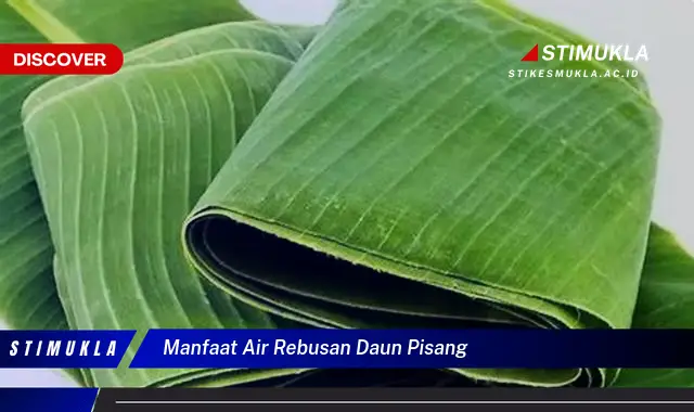 manfaat air rebusan daun pisang