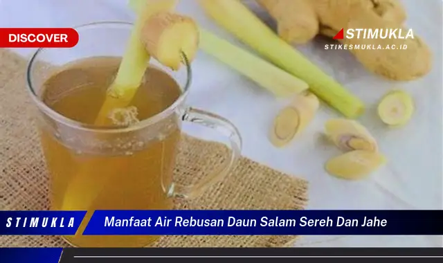 manfaat air rebusan daun salam sereh dan jahe