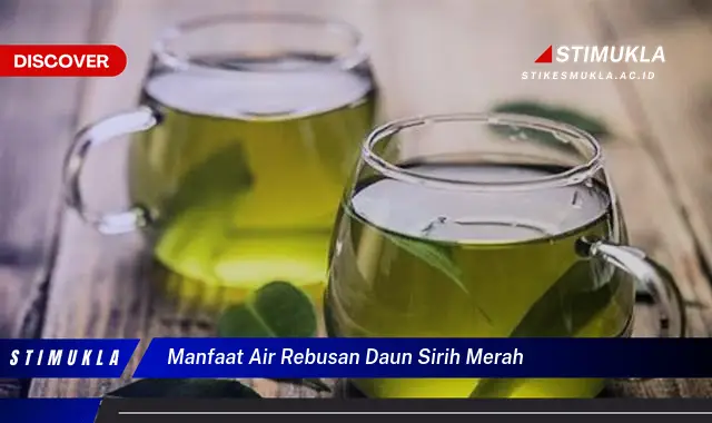 manfaat air rebusan daun sirih merah