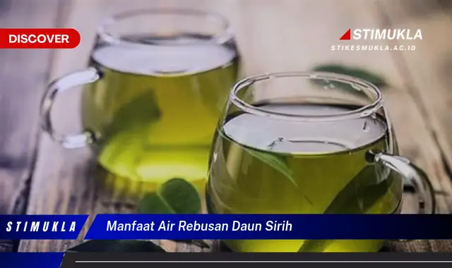 manfaat air rebusan daun sirih