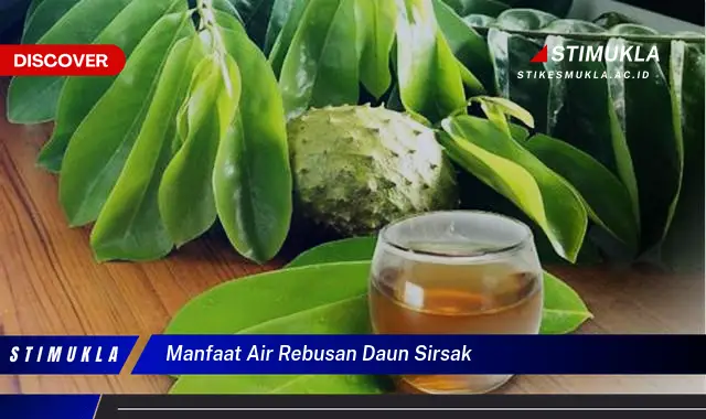 manfaat air rebusan daun sirsak