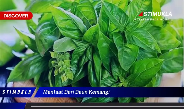 manfaat dari daun kemangi