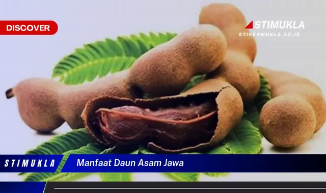 manfaat daun asam jawa