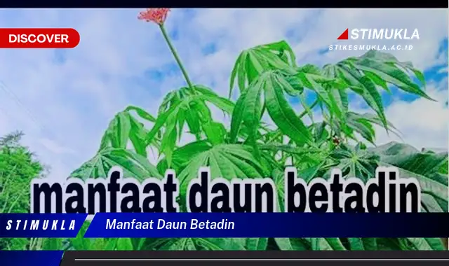 manfaat daun betadin