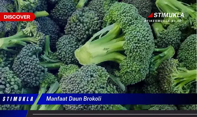 manfaat daun brokoli