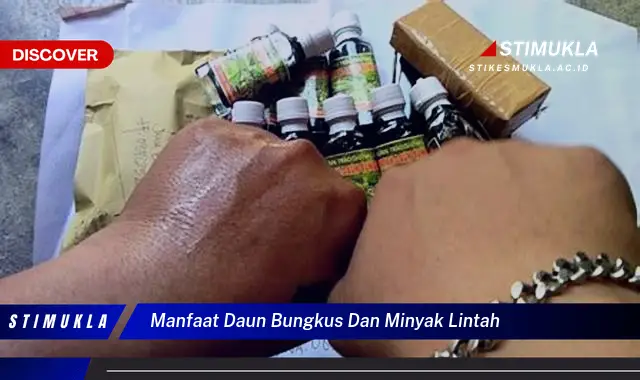 manfaat daun bungkus dan minyak lintah