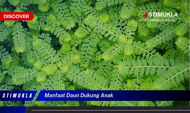 manfaat daun dukung anak