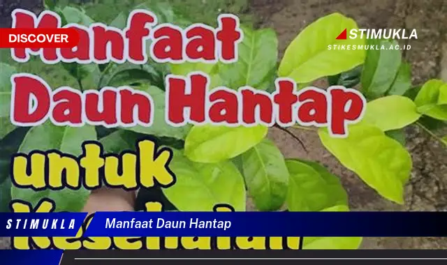 manfaat daun hantap