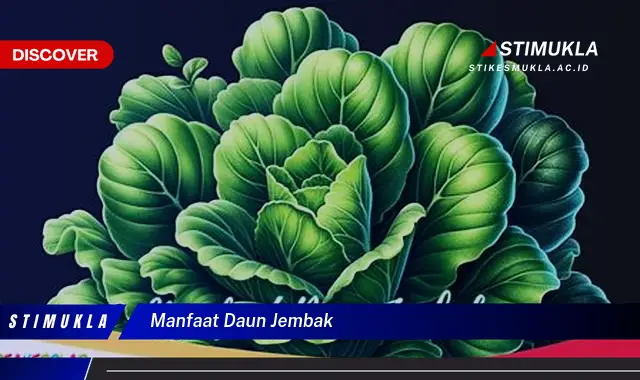 manfaat daun jembak
