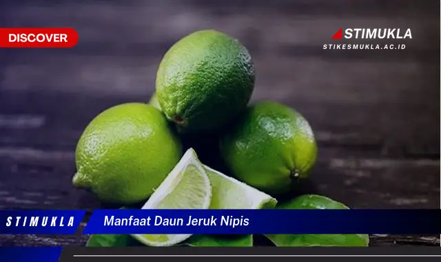 manfaat daun jeruk nipis