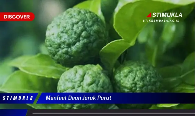 manfaat daun jeruk purut