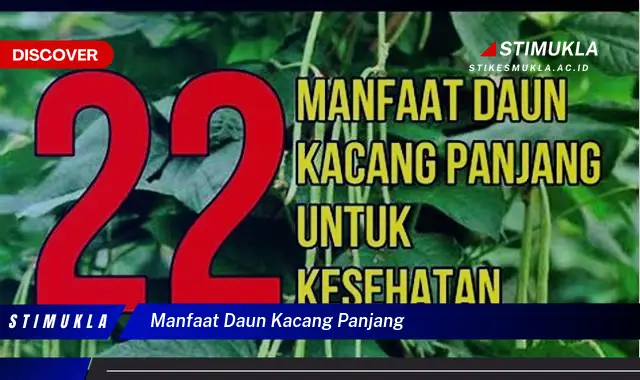 manfaat daun kacang panjang