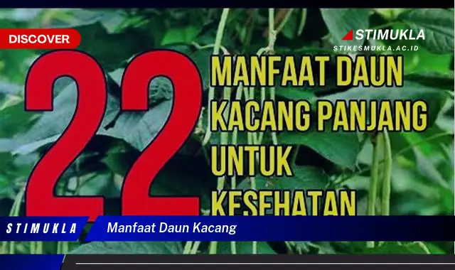 manfaat daun kacang