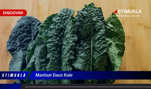 manfaat daun kale