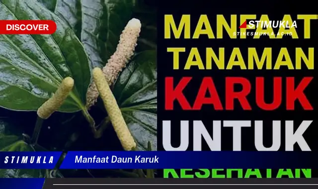 manfaat daun karuk