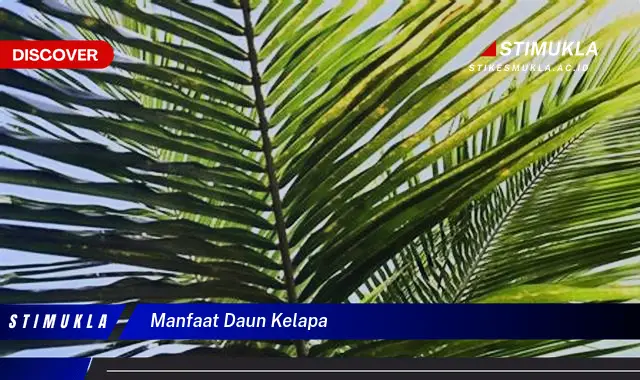 manfaat daun kelapa manfaat daun kelapa