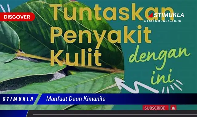 manfaat daun kimanila