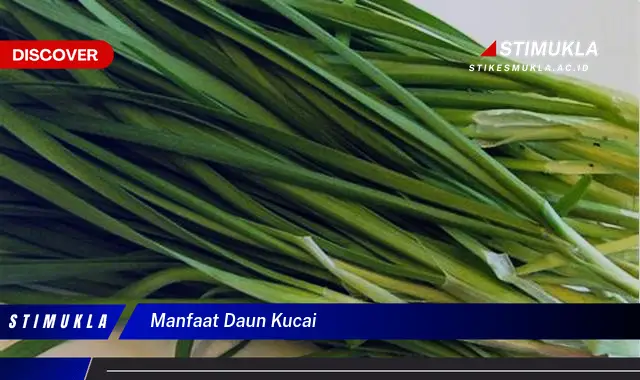 manfaat daun kucai