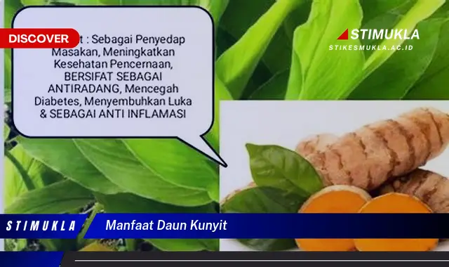 manfaat daun kunyit