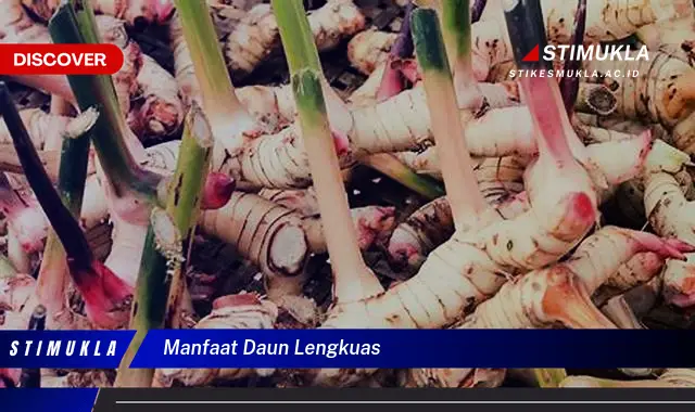 manfaat daun lengkuas