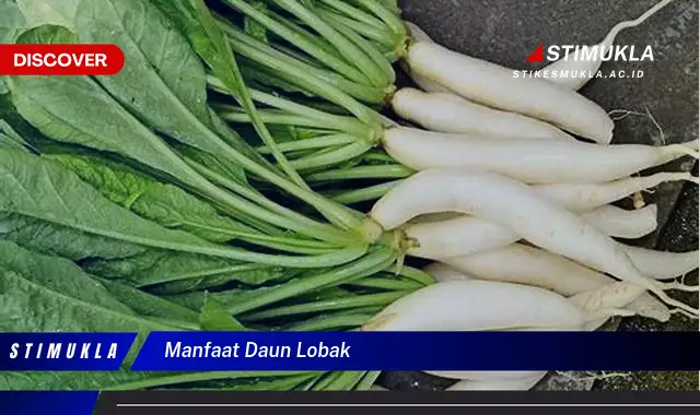 manfaat daun lobak