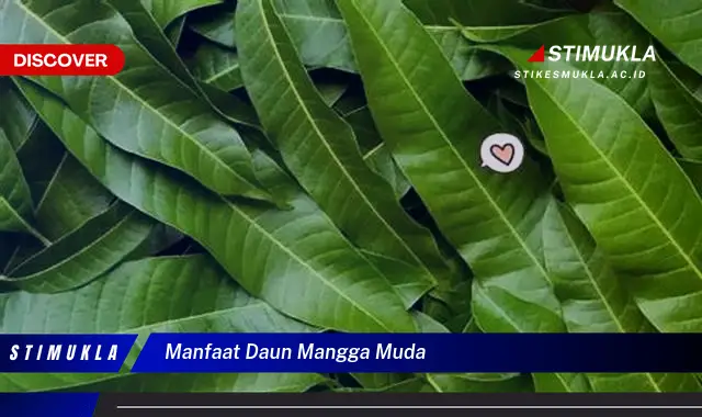 manfaat daun mangga muda