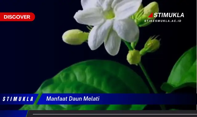 manfaat daun melati