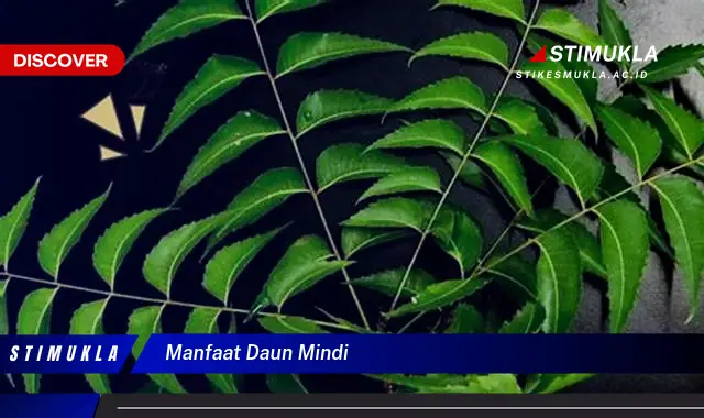 manfaat daun mindi