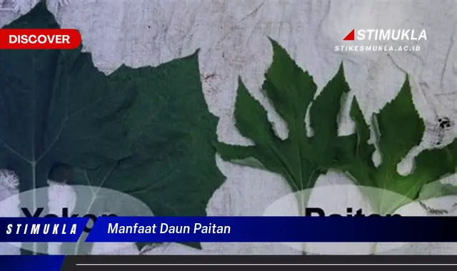 manfaat daun paitan