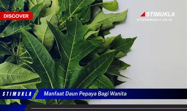 manfaat daun pepaya bagi wanita