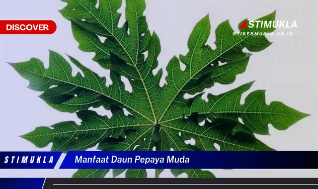 manfaat daun pepaya muda