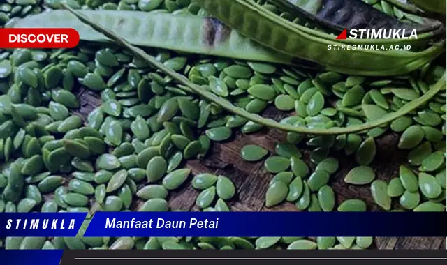 manfaat daun petai