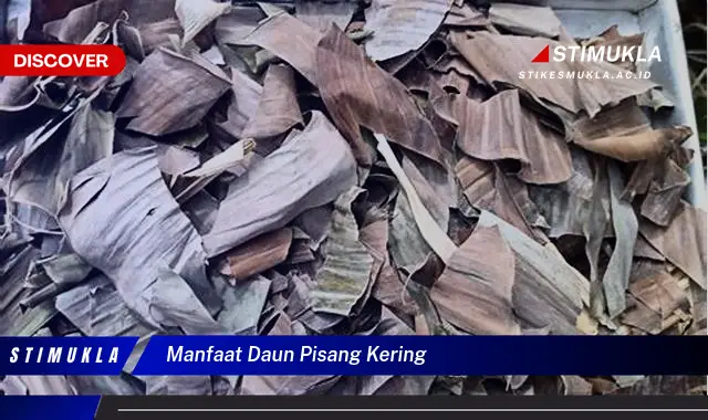 manfaat daun pisang kering manfaat daun pisang kering