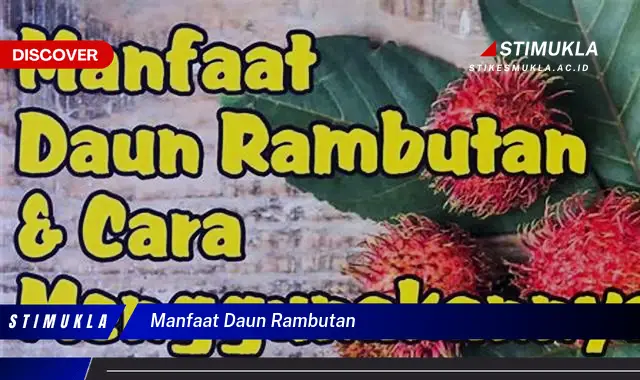 manfaat daun rambutan