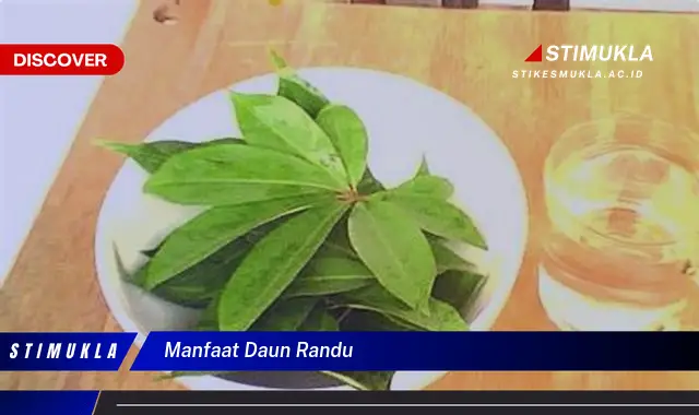 manfaat daun randu