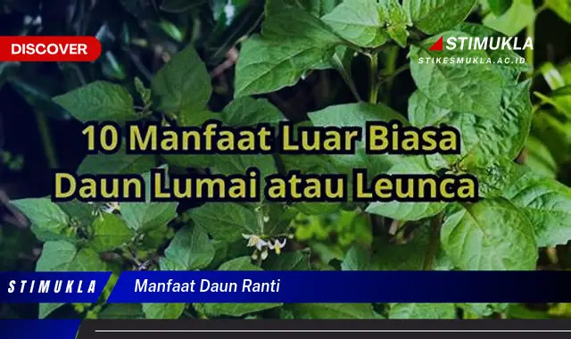 manfaat daun ranti