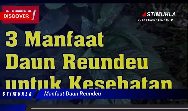 manfaat daun reundeu