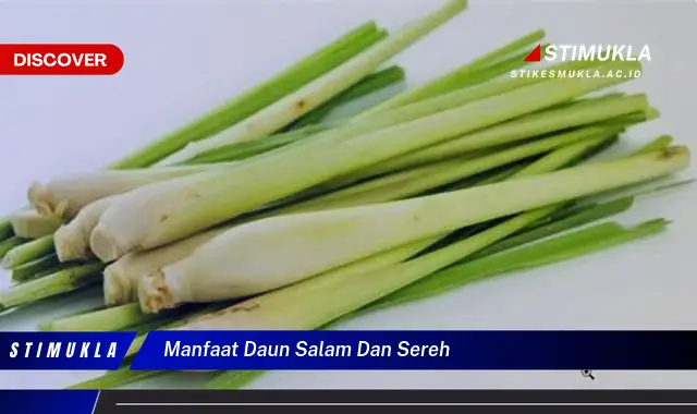 manfaat daun salam dan sereh