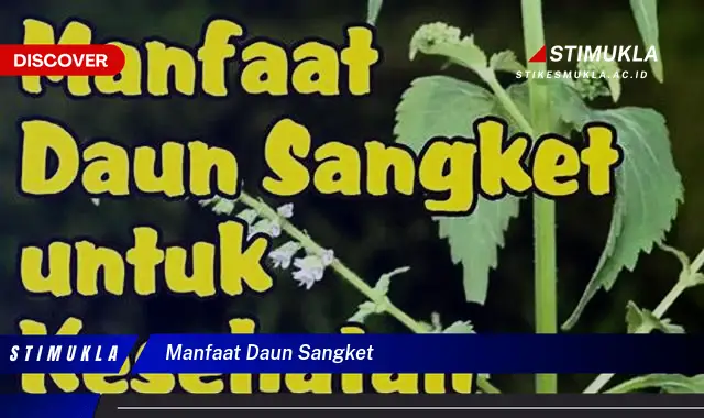 manfaat daun sangket