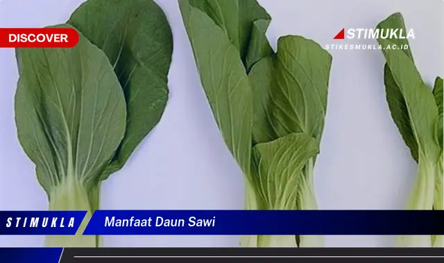 manfaat daun sawi