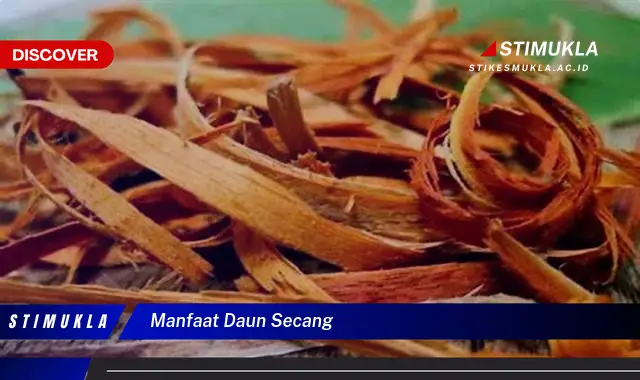 manfaat daun secang