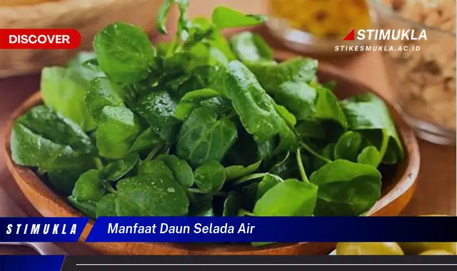 manfaat daun selada air