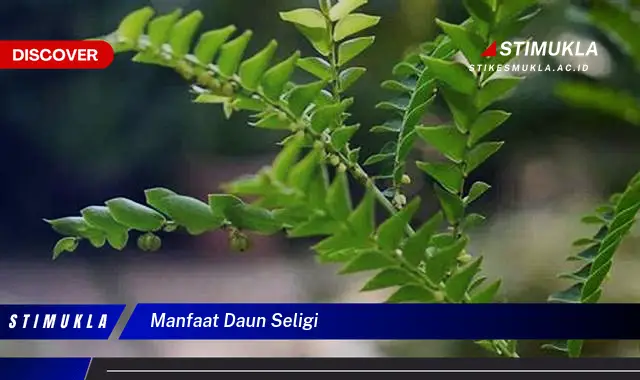 manfaat daun seligi