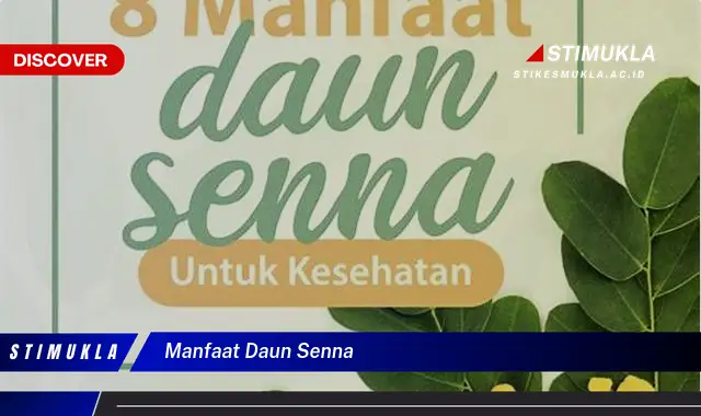 manfaat daun senna